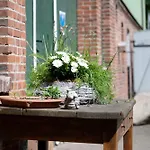 Junge 3 Appartement