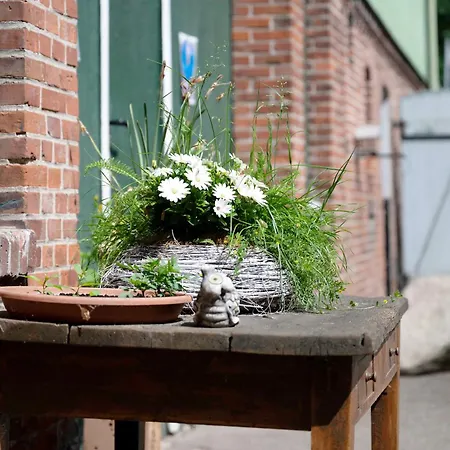 Junge 3 Appartement Lohe-Rickelshof
